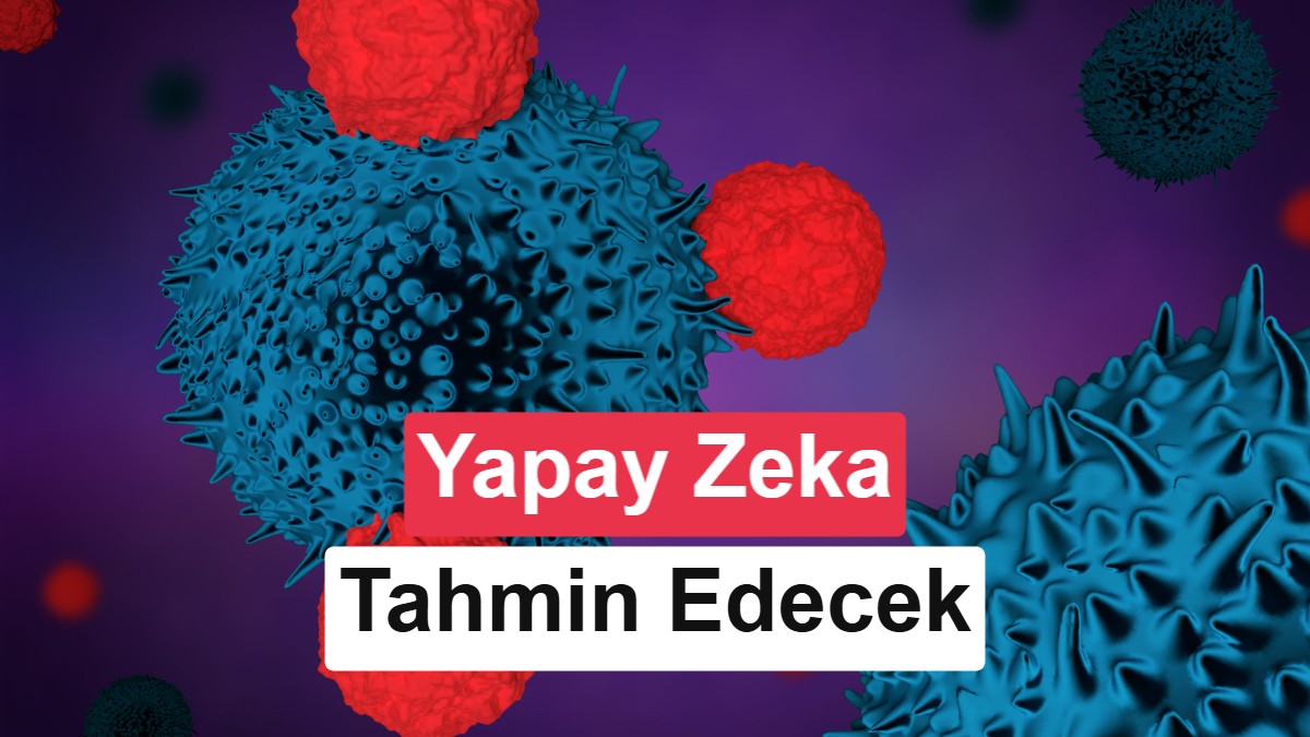 Kanserde yeni araç: Hangi hastanın tedaviye yanıt vereceği önceden bilinecek